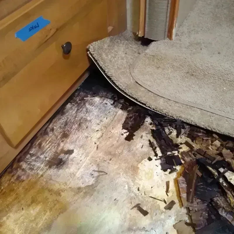 Best Wood Floor Water Damage Service in Grant Park, IL